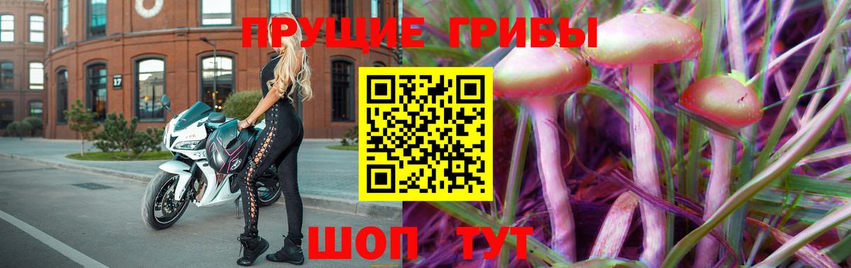 Псилоцибиновые грибы GOLDEN TEACHER  Вход с VPN  Бузулук 